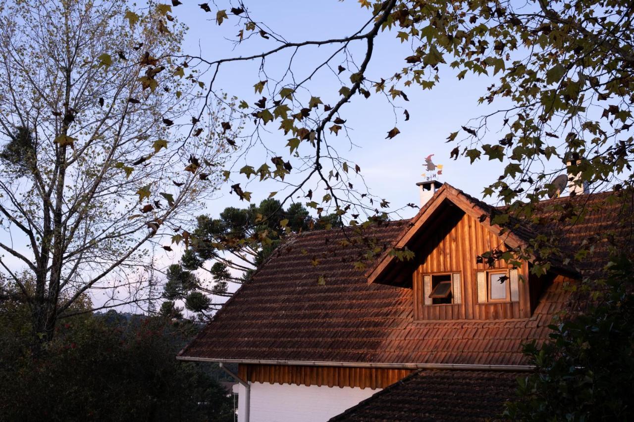 Cabana Mimosa Monte Verde  Exteriör bild
